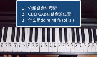 电子琴入门教学